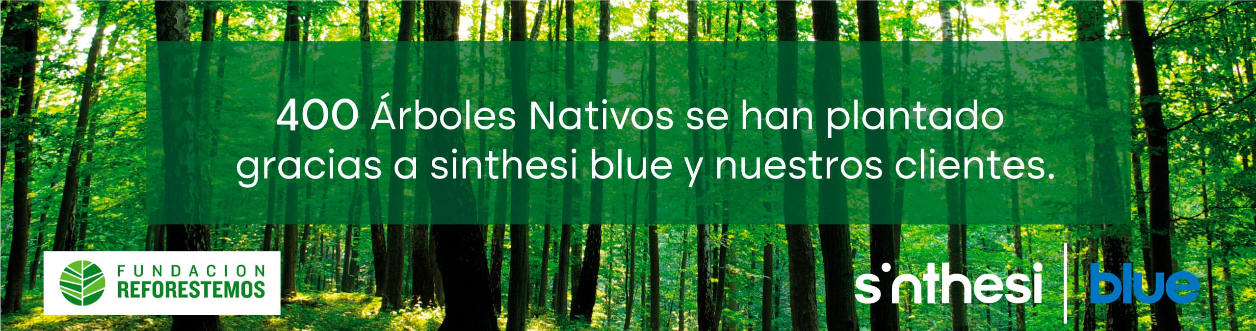 fundacion_reforestemos